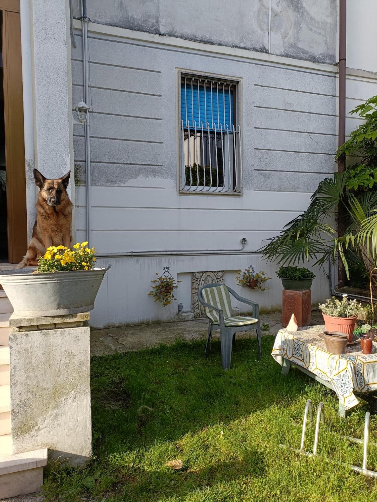 B&B Mavipagi Werona Zewnętrze zdjęcie